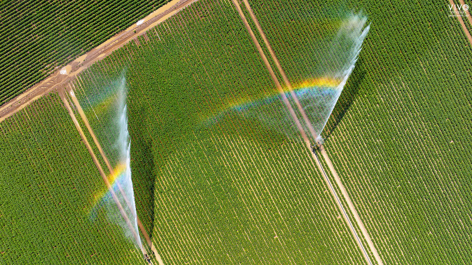 fotoreportage vivo fotografie & drone inspecties