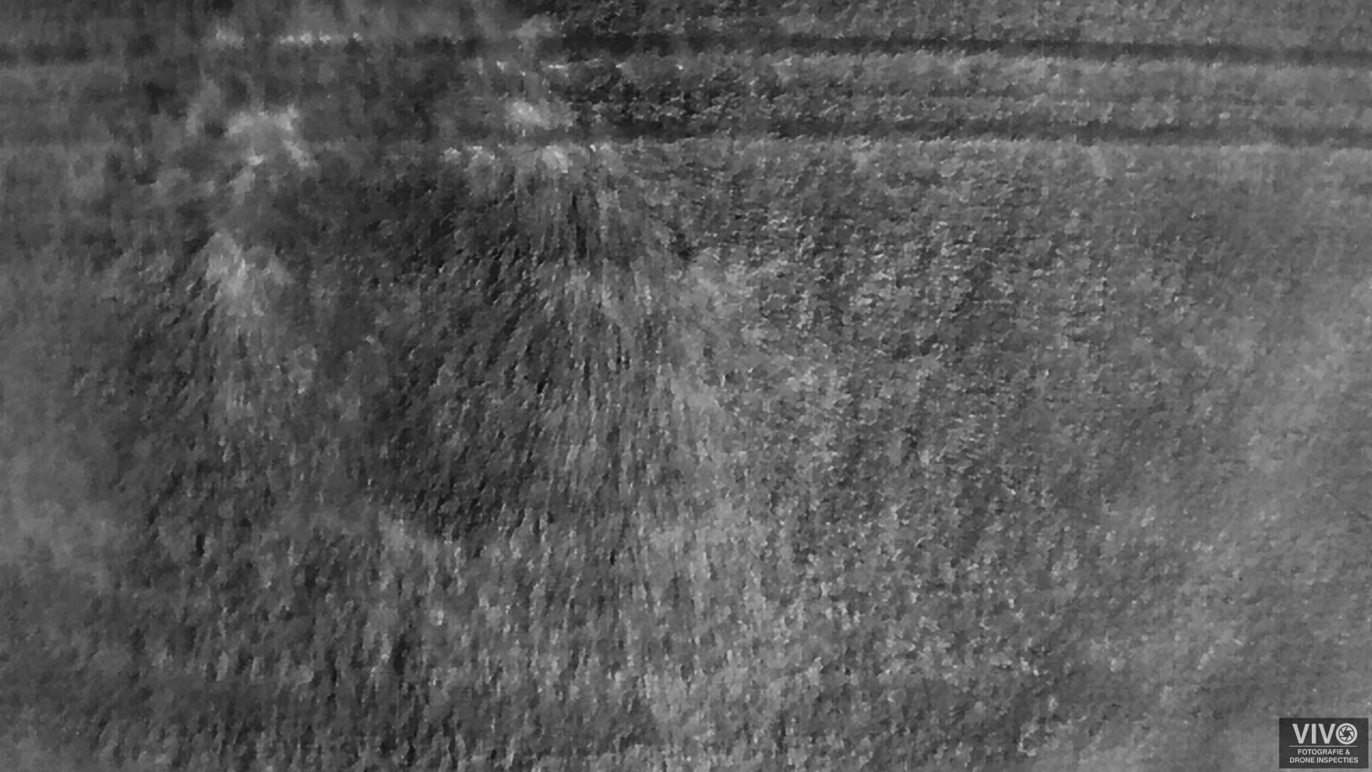 gewasschade defensie helicopters hoeksche waard