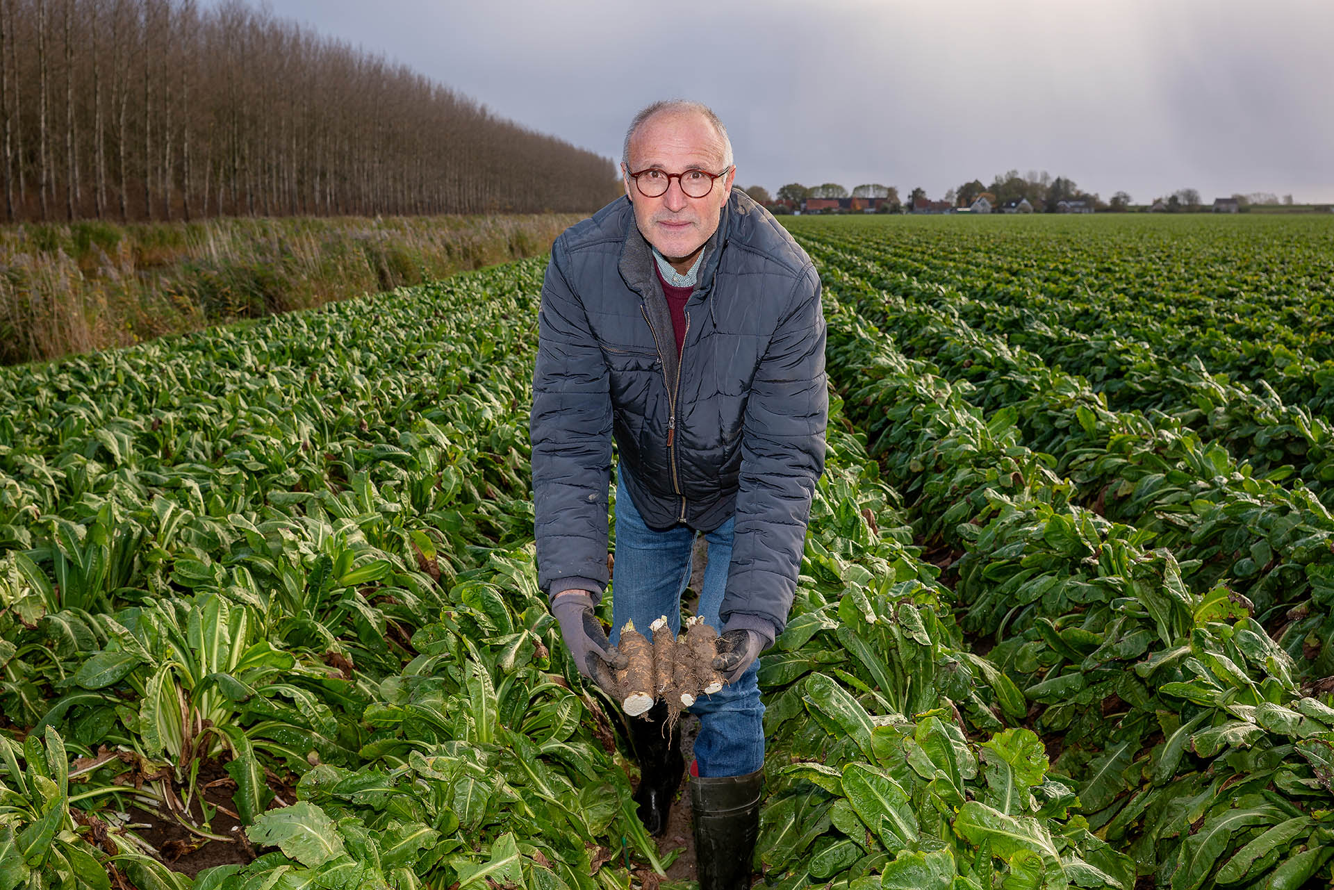 professionele fotoreportages hoeksche waard